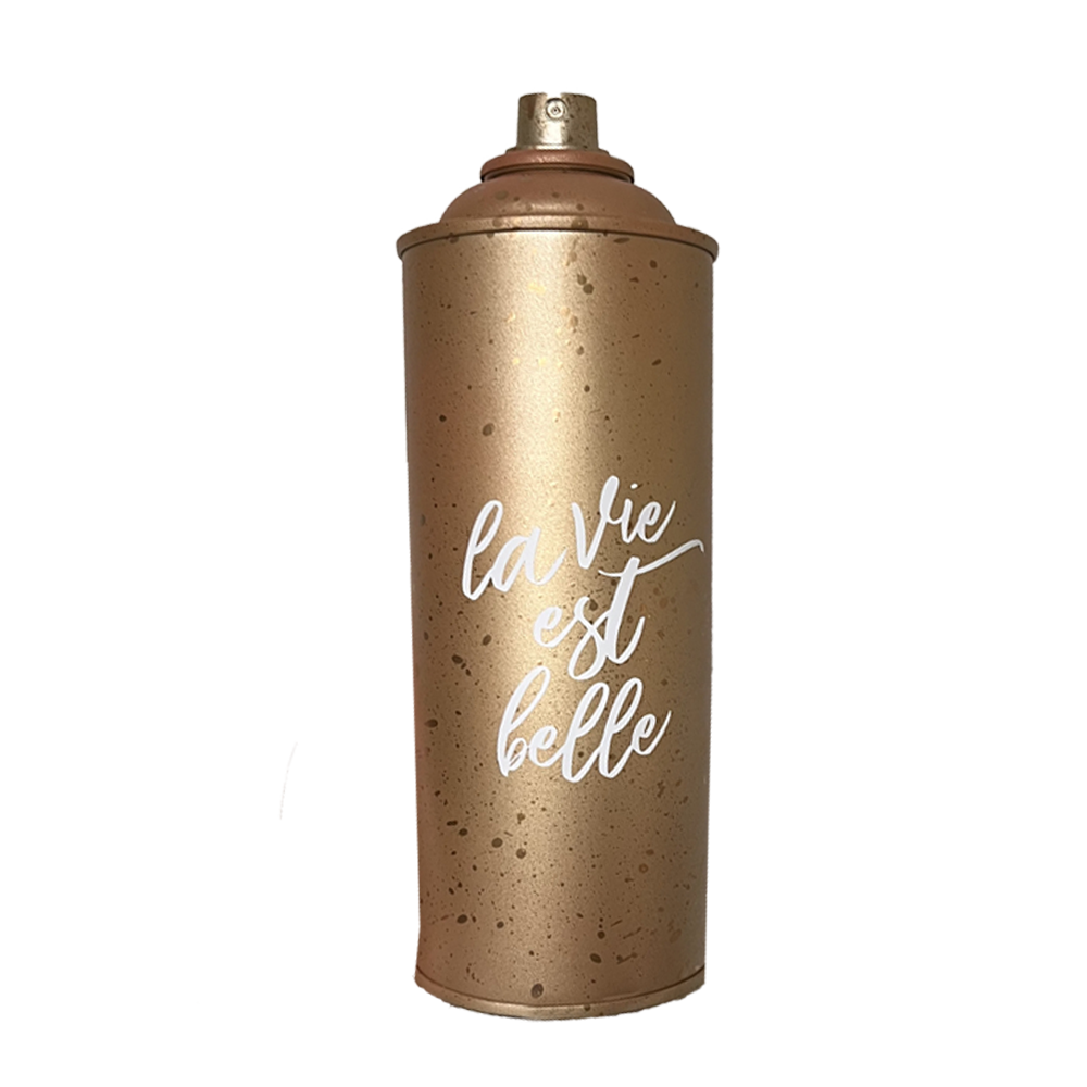 bombe aerosol decorative cadeau noel 2025 25 euros